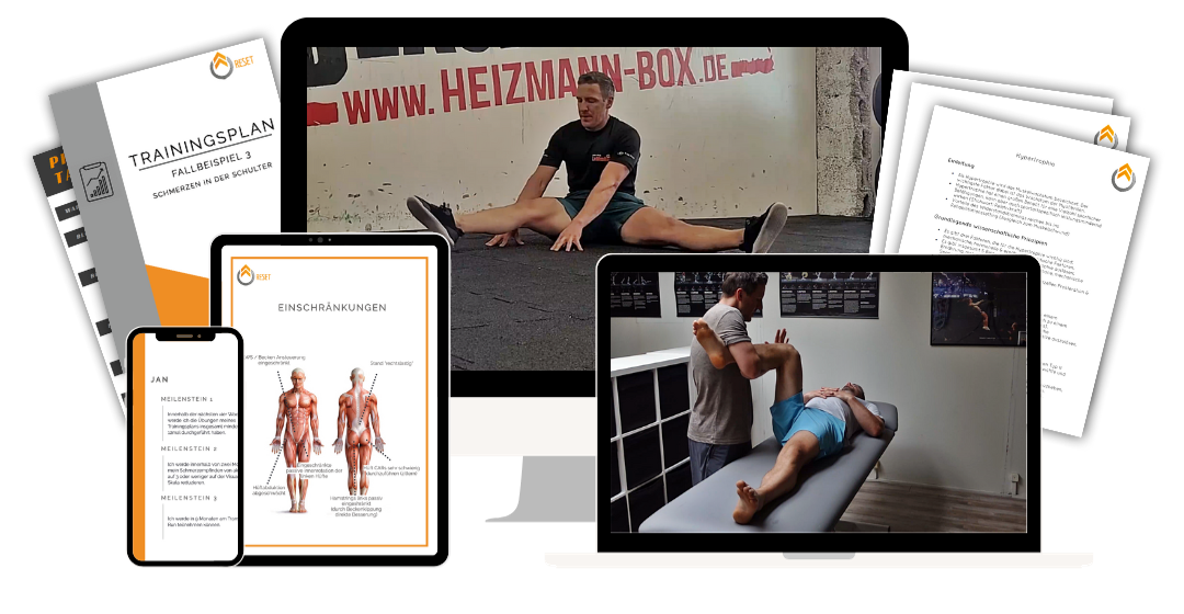 RESET Mobility Master Coach — die Online-Weiterbildung